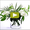 Twiggs Floral Design ~ Orchids